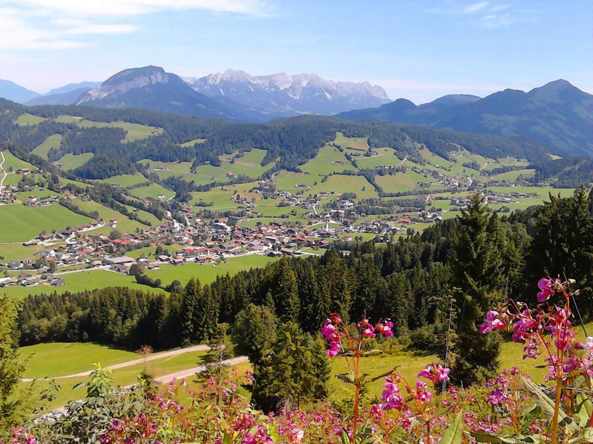 Sonnenalp Bergruhe Daire Niederau Dış mekan fotoğraf